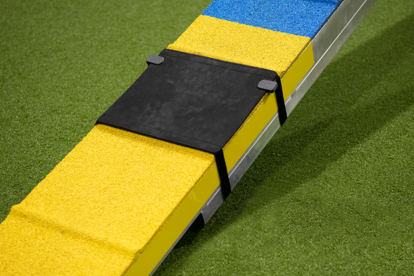 AgiPad - mat - Size: XS ver1 (27cm)