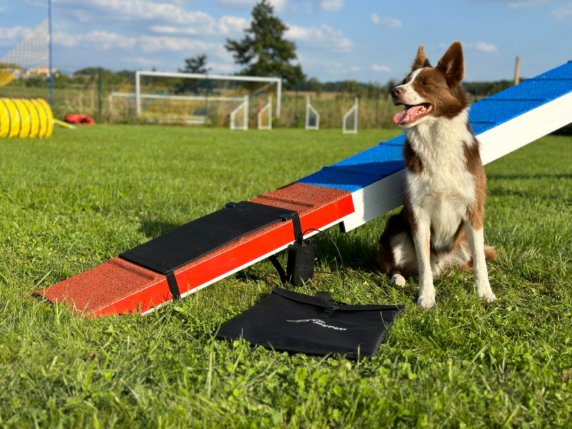 AgiPad 2 - complete - Konektivita: PetSafe - Teach and Treat + Ovladač, Velikost: XS ver1 (27cm)
