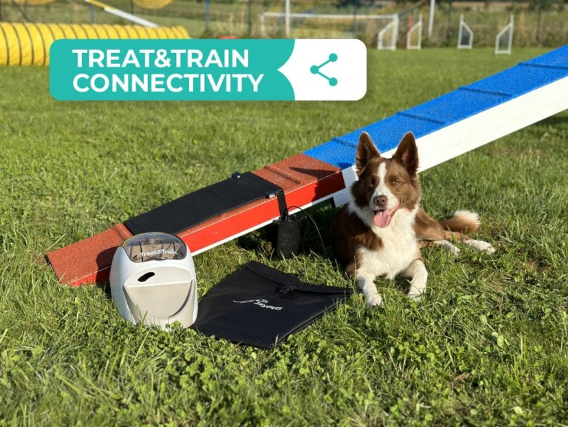 AgiPad 2 - complete - Konektivita: PetSafe - Teach and Treat + Ovladač, Velikost: XS ver1 (27cm)