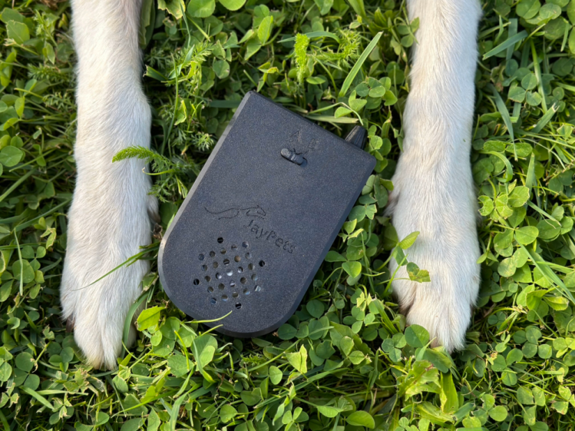 AgiPad 2 - Jay - Connectivity: LITE - no connectivity