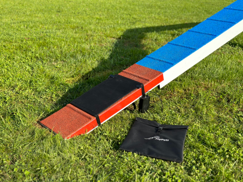 AgiPad 2 - complete - Konektivita: PetSafe - Teach and Treat + Ovladač, Velikost: XS ver1 (27cm)