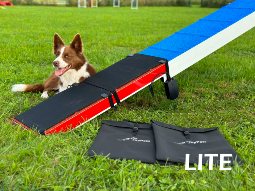 AgiPad 2 - complete - Connectivity: LITE - no connectivity, Size: L (90cm)