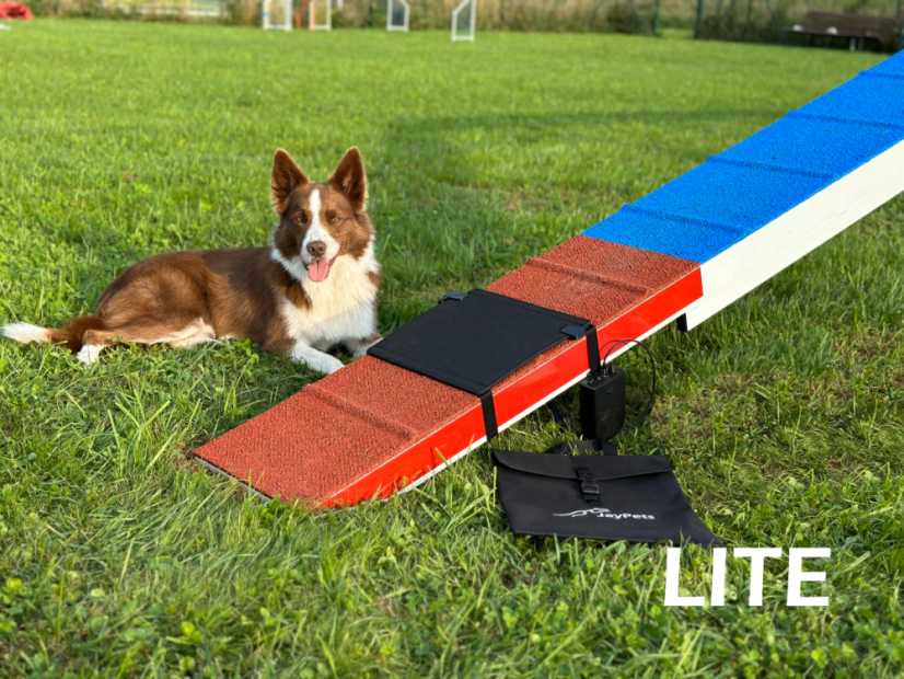 AgiPad 2 - complete - Konektivita: LITE - bez konektivity, Velikost: XS (27cm)