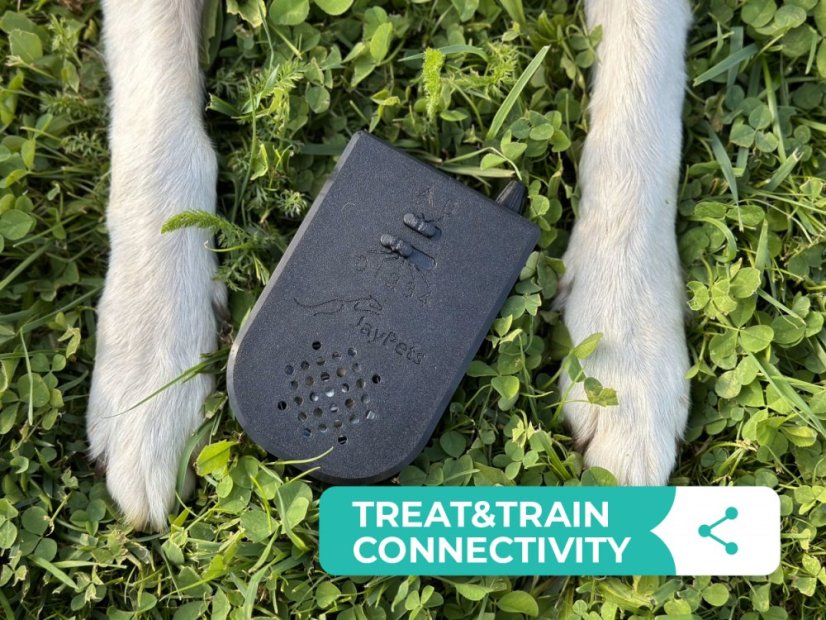 AgiPad 2 - Jay - Connectivity: LITE - no connectivity