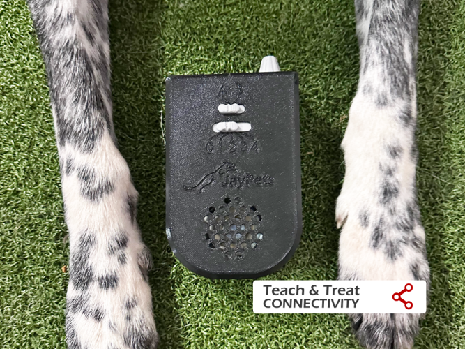 AgiPad 2 - Jay - Konektivita: PetSafe - Teach and Treat