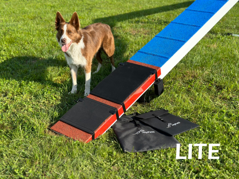 AgiPad 2 - complete - Connectivity: LITE - no connectivity, Size: M (72cm)