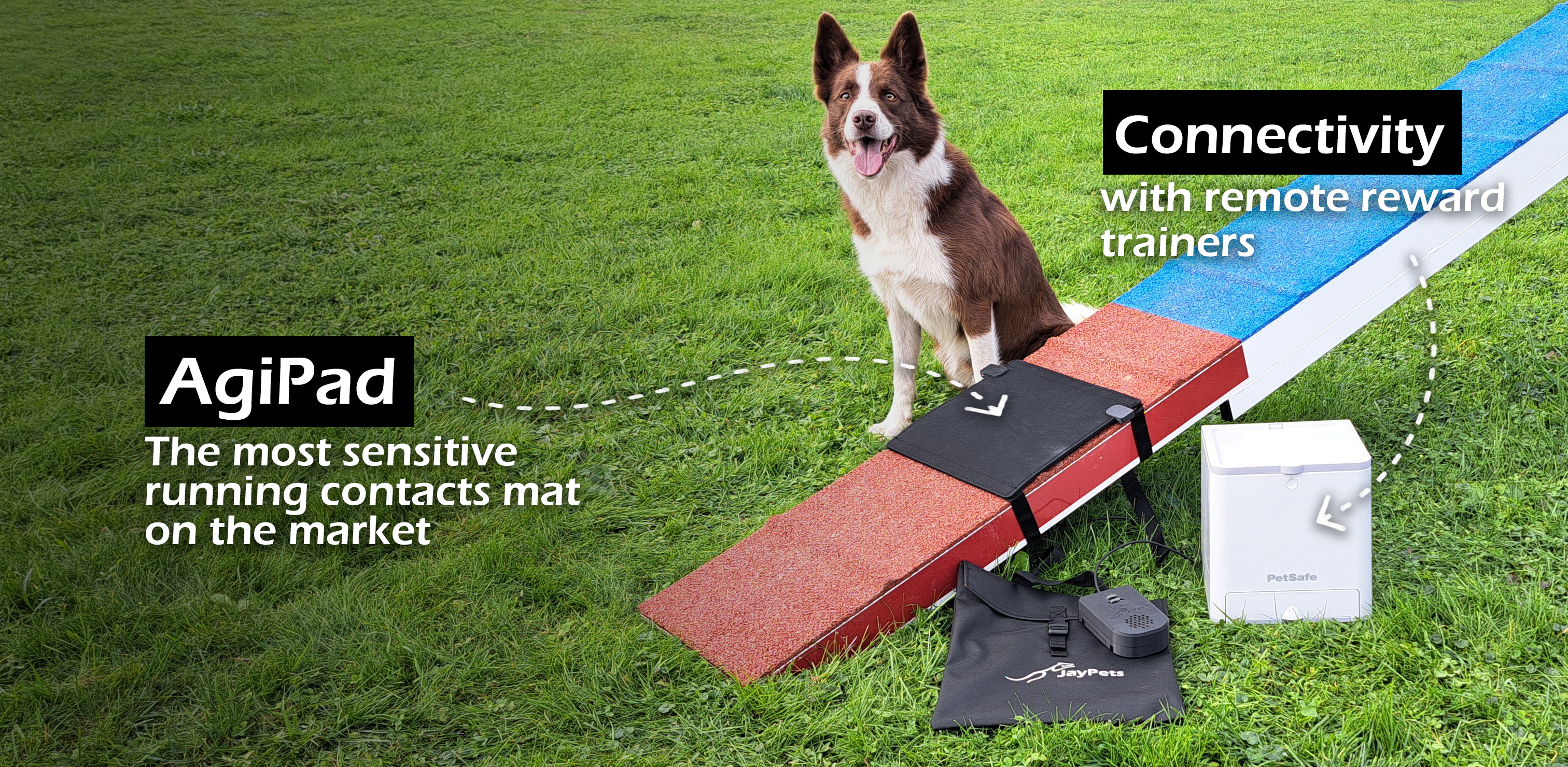 【emis】25HS新作★ (PET) DOG WALK MAT Amazon.com: Dog Mat for Food and Water - 39.4