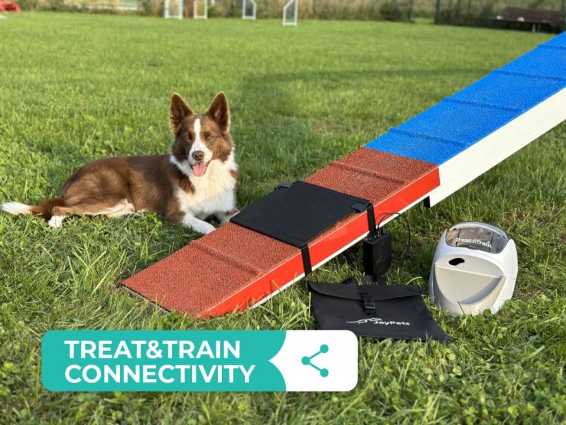 AgiPad 2 - complete - Connectivity: PetSafe - Treat and Train, Size: XS (27cm)